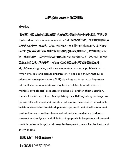 淋巴瘤和cAMP信号通路