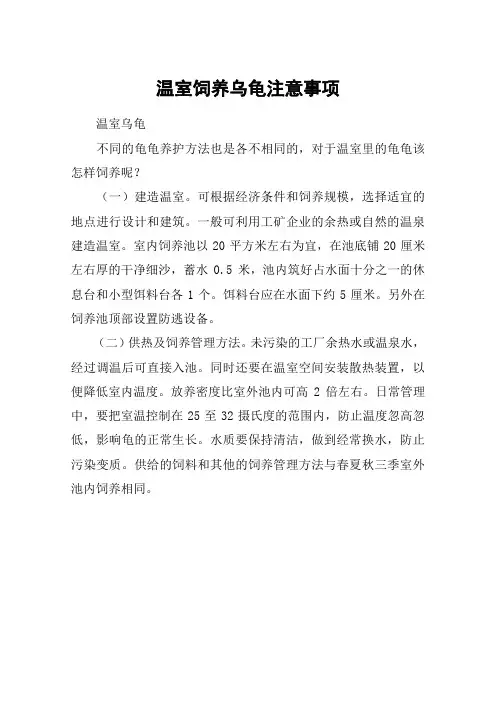 温室饲养乌龟注意事项