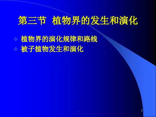 被子植物分科概述PPT课件