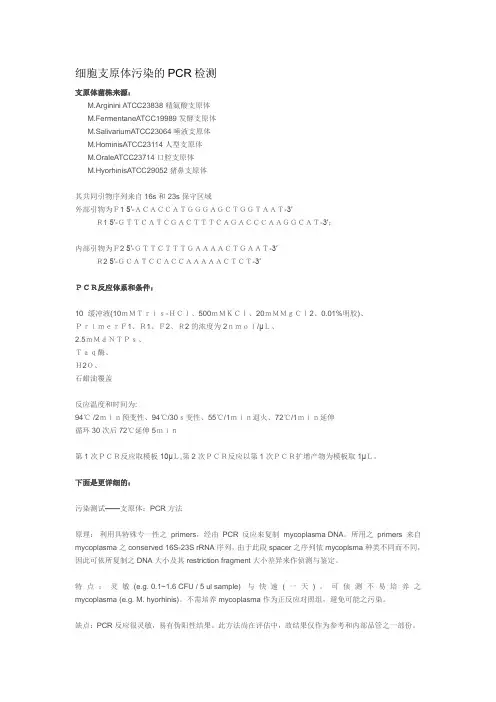 细胞支原体污染的PCR检测