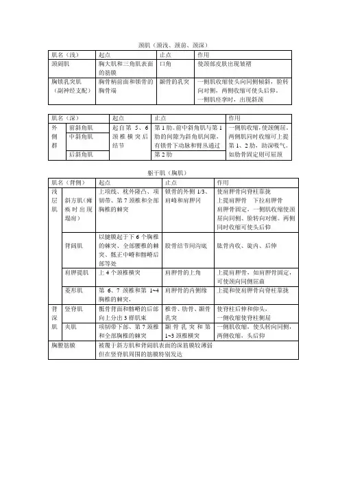 颈部和躯干肌肉解剖