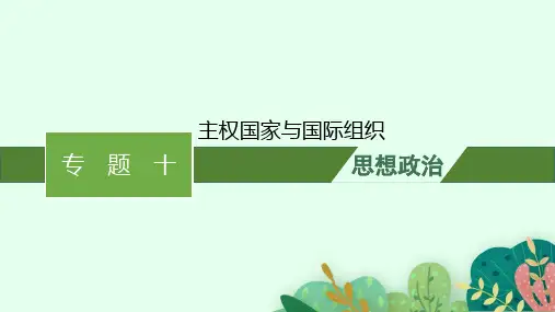 高考思想政治二轮总复习精品课件 专题十 主权国家与国际组织