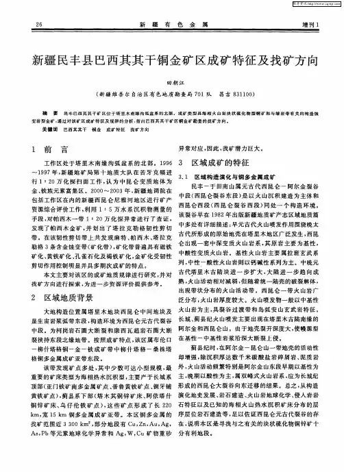 新疆民丰县巴西其其干铜金矿区成矿特征及找矿方向