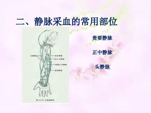静脉采血幻灯片-副本(1).ppt