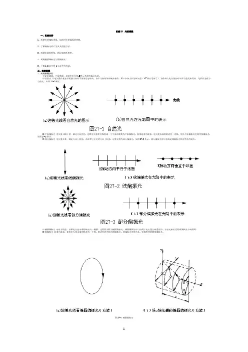 大学物理实验--光偏振