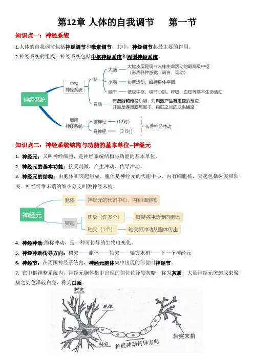 七年级北师大生物第12章：人体的自我调节知识点