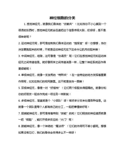 神经细胞的分类