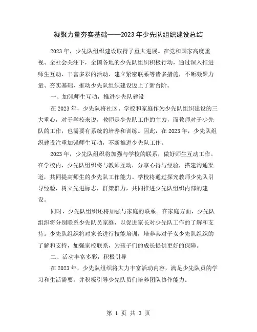凝聚力量夯实基础——2023年少先队组织建设总结