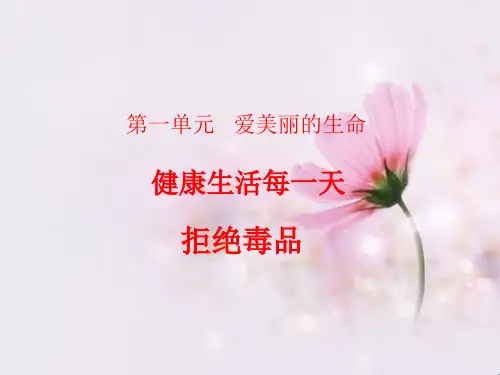 《健康生活每一天》PPT课件2教科版