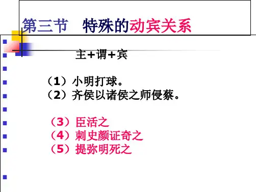 第三节   特殊的动宾关系