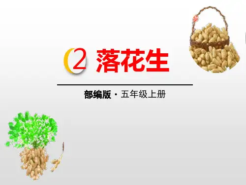 《落花生》-五年级上册人教部编版语文PPT精品课件