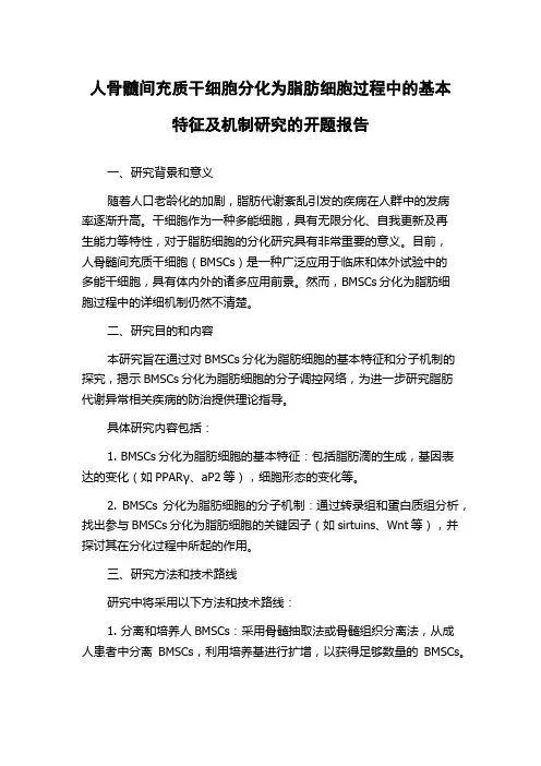 人骨髓间充质干细胞分化为脂肪细胞过程中的基本特征及机制研究的开题报告