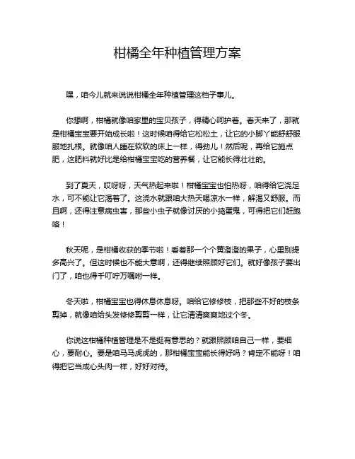 柑橘全年种植管理方案