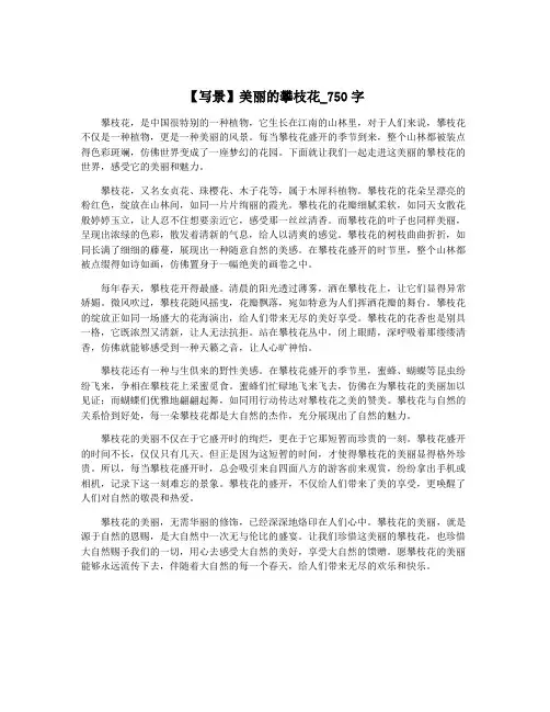 【写景】美丽的攀枝花_750字