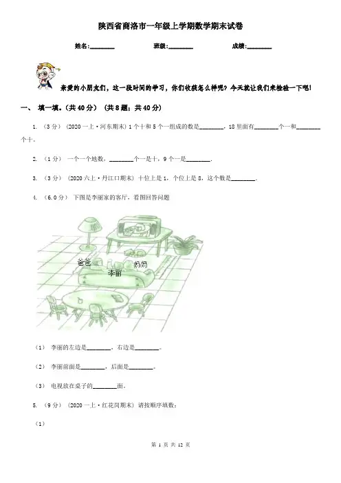 陕西省商洛市一年级上学期数学期末试卷