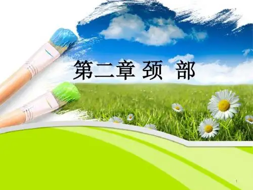 局部解剖学颈部ppt课件