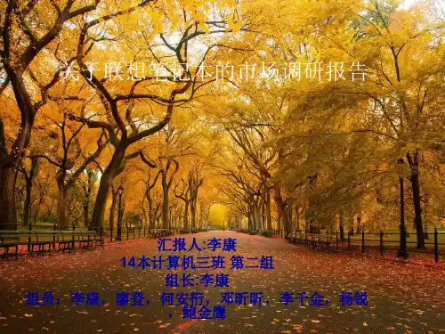 联想笔记本电脑市场调查分析报告