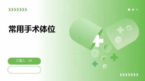 常用手术体位