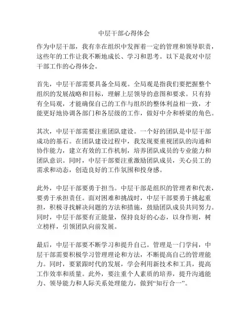 中层干部心得体会