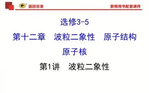 波粒二象性