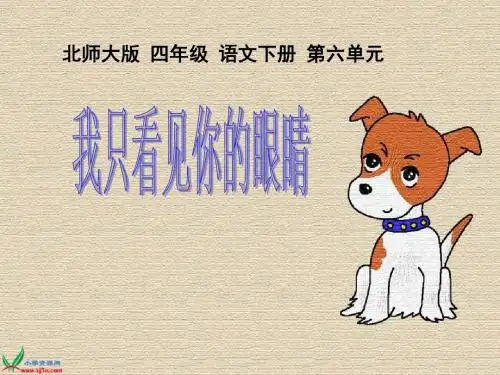我只看见你的眼睛课件(北师大版语文四年级下册)
