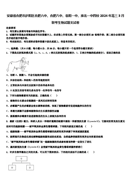 安徽省合肥市庐阳区合肥六中、合肥八中、阜阳一中、淮北一中四校2024年高三3月联考生物试题文试卷含解