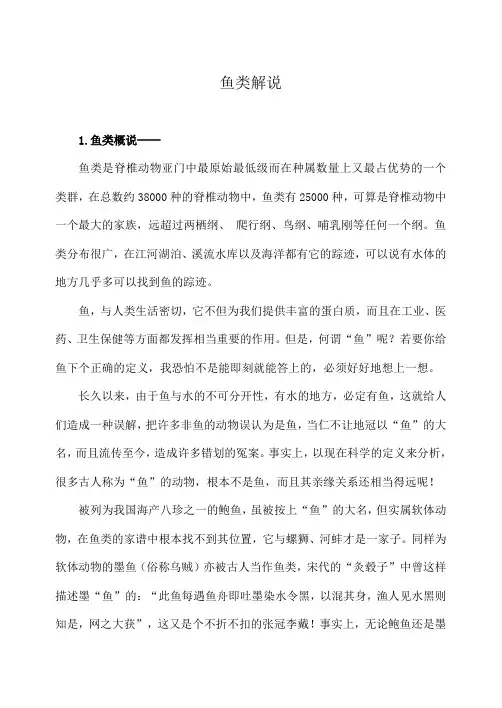鱼类解说