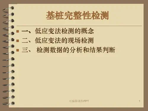 低应变检测图解ppt课件