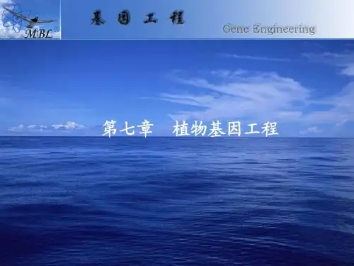 基因工程-8-植物基因工程