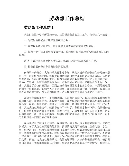 劳动部工作总结