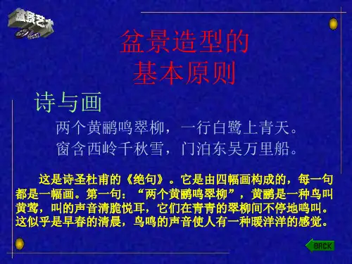 《盆景造型理论》PPT课件