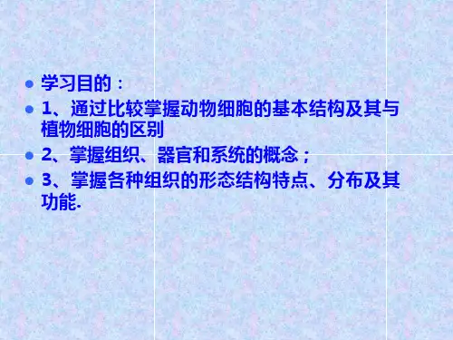 动物体的基本结构与机能