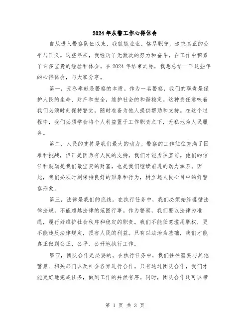 2024年从警工作心得体会