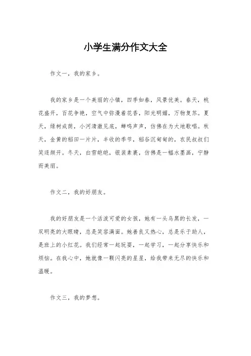 小学生满分作文大全