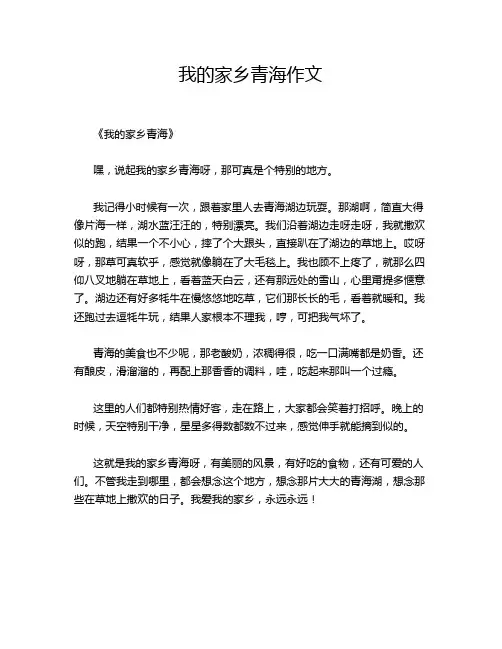 我的家乡青海的优秀作文
