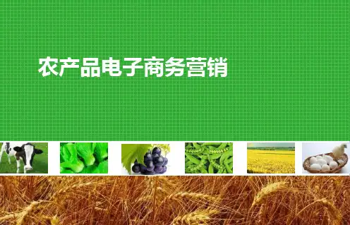 农业电商素材PPT 农产品电子商务营销素材类PPT