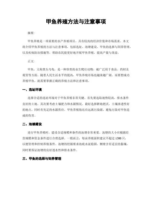 甲鱼养殖方法与注意事项