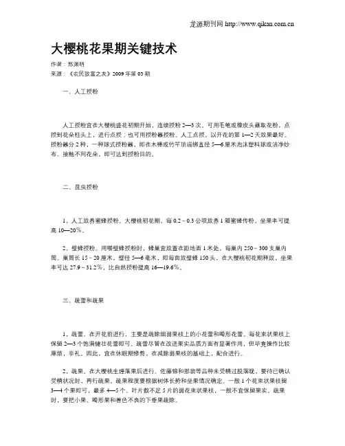 大樱桃花果期关键技术