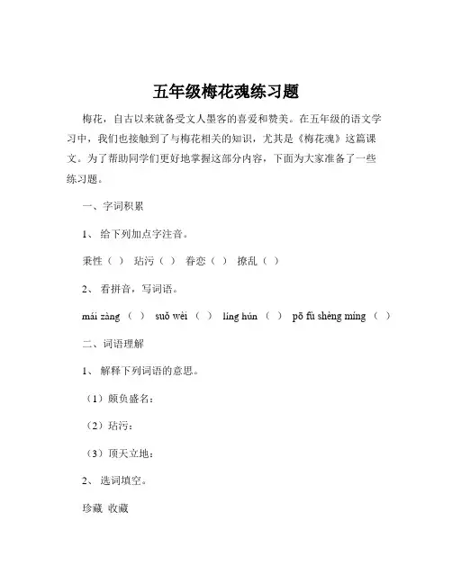 五年级梅花魂练习题