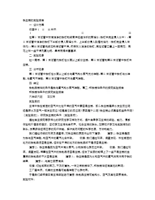 铁生锈实验报告【范本模板】