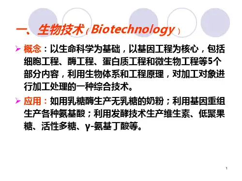 功能性食品高薪技术