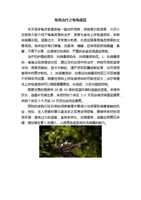 龟龟治疗之龟龟感冒