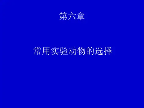 实验动物的选择原则