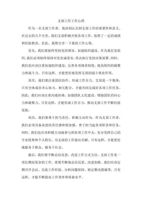 支部工作工作心得