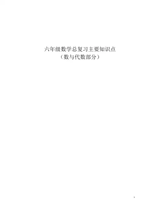 六年级数学总复习主要知识点梳理(数与代数)