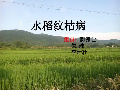 农病课件22.水稻纹枯病