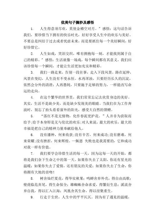 优美句子摘抄及感悟