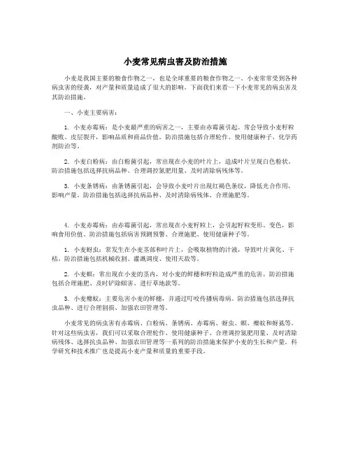 小麦常见病虫害及防治措施