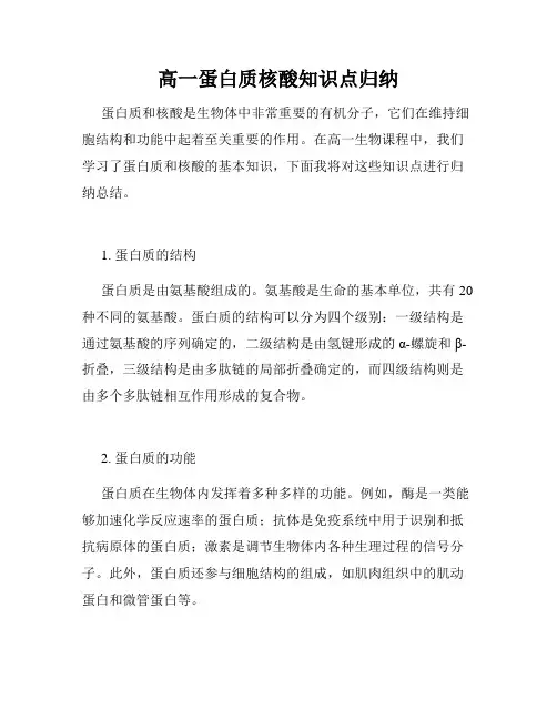 高一蛋白质核酸知识点归纳