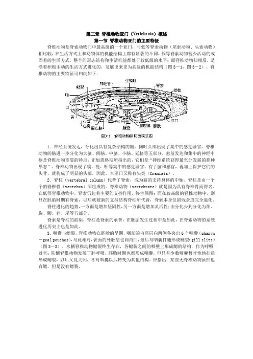 脊椎动物学第三章脊椎动物亚门